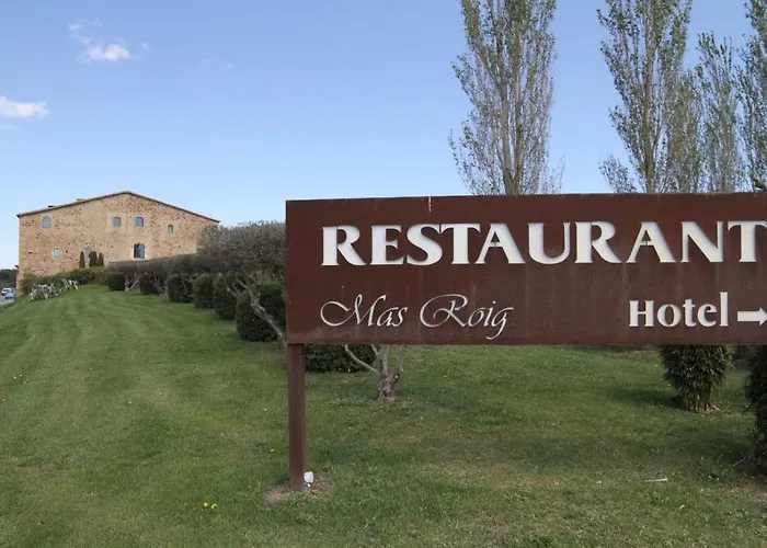酒店 Mas Roig 帕尔斯